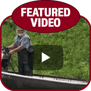 Silverfin Group Inc Featured Video
